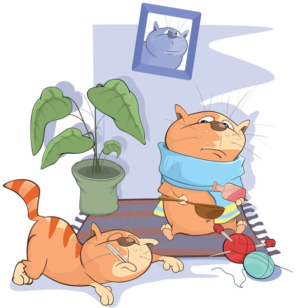 “猫的症状”