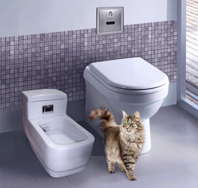 “猫用自动坐便器”