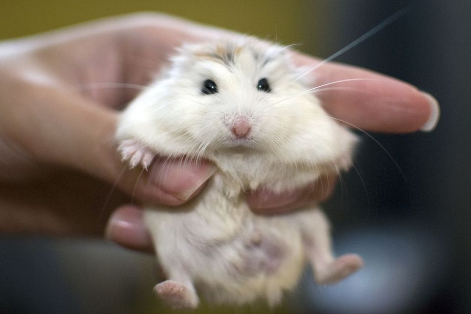 ”