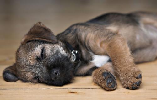 ”